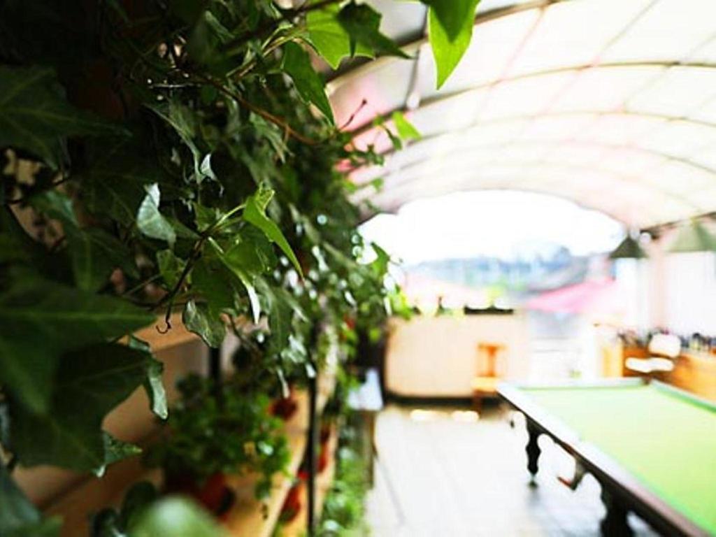 Nanjing Sunflower International Youth Hostel Luaran gambar